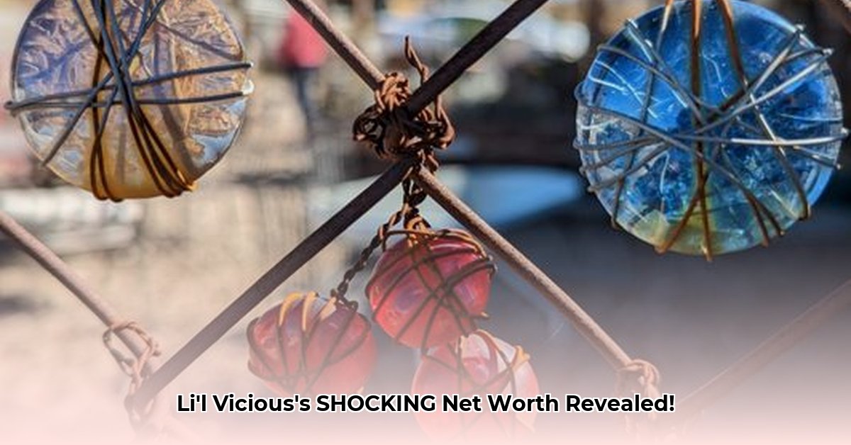 li-l-vicious-net-worth